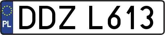 DDZL613