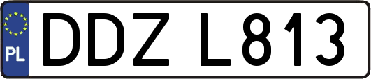 DDZL813