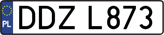 DDZL873