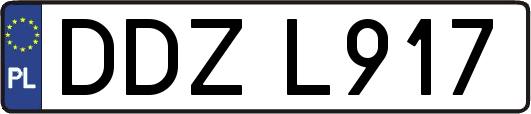 DDZL917