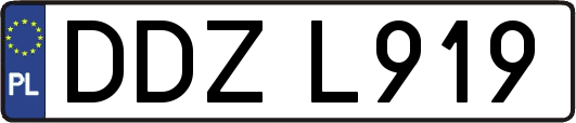 DDZL919