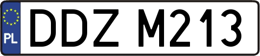 DDZM213