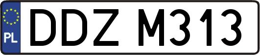 DDZM313