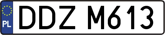 DDZM613