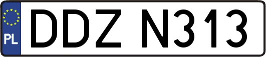DDZN313