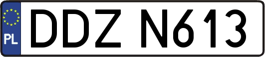DDZN613