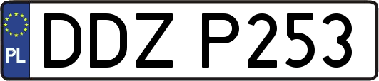 DDZP253