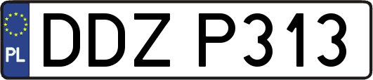 DDZP313