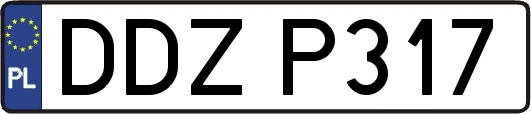 DDZP317