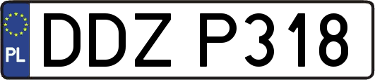 DDZP318