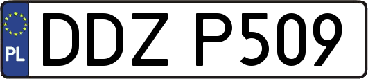 DDZP509