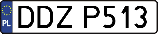 DDZP513
