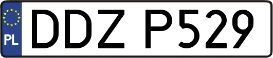 DDZP529