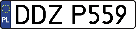 DDZP559