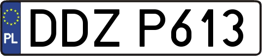 DDZP613