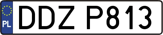 DDZP813