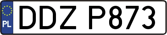 DDZP873