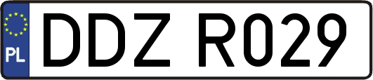 DDZR029
