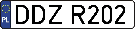DDZR202