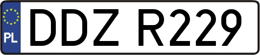 DDZR229