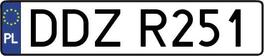 DDZR251