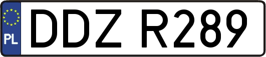 DDZR289