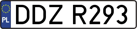 DDZR293