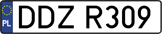 DDZR309