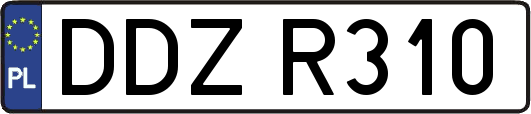 DDZR310