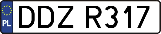 DDZR317