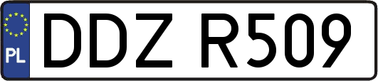 DDZR509