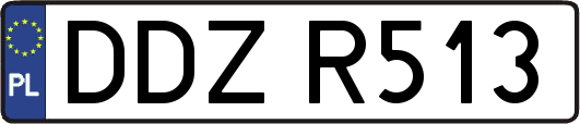DDZR513