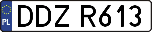 DDZR613