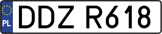 DDZR618