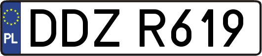 DDZR619