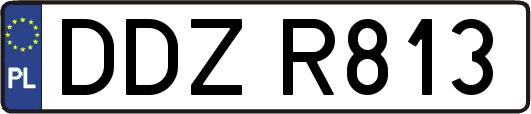 DDZR813