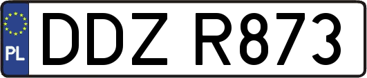 DDZR873