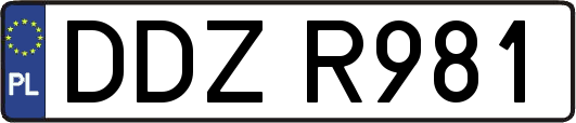 DDZR981