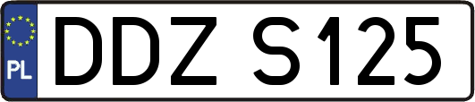 DDZS125
