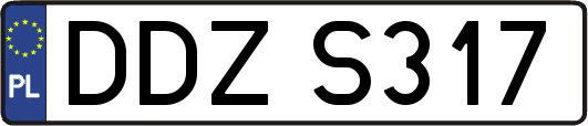 DDZS317