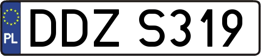 DDZS319