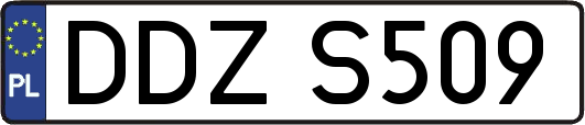 DDZS509