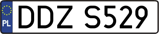 DDZS529