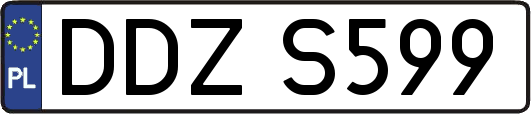 DDZS599