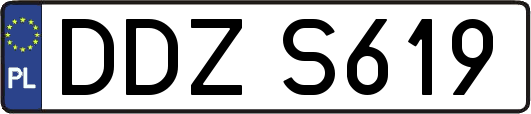 DDZS619