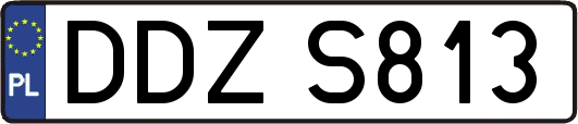 DDZS813