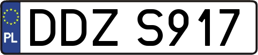 DDZS917