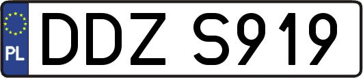 DDZS919