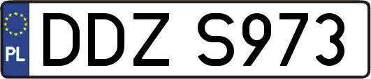 DDZS973