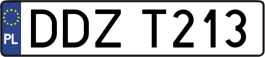 DDZT213